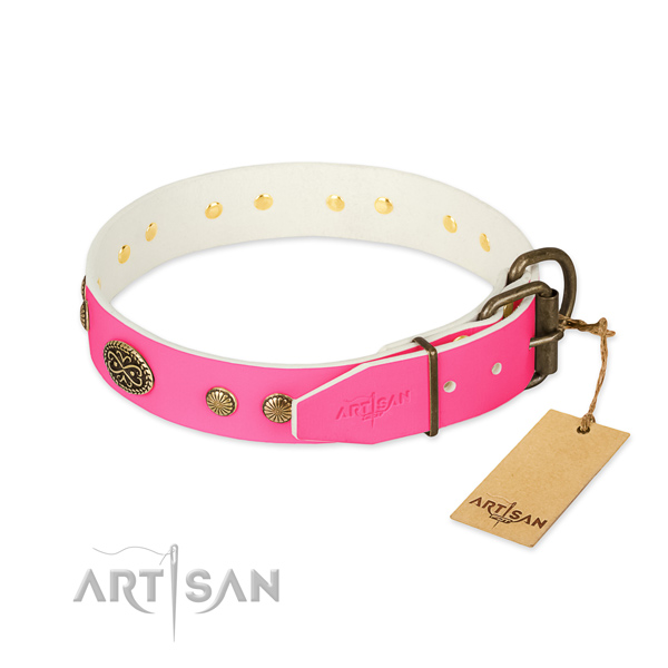 Corrosion resistant buckle on leather dog collar for your four-legged friend