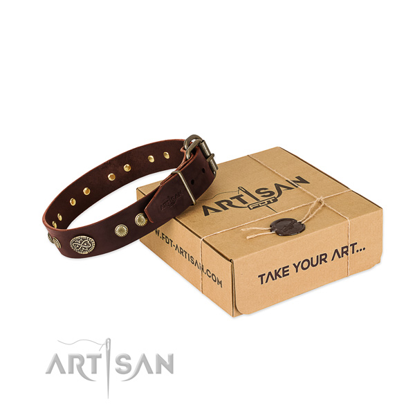 Corrosion proof adornments on full grain leather dog collar for your canine