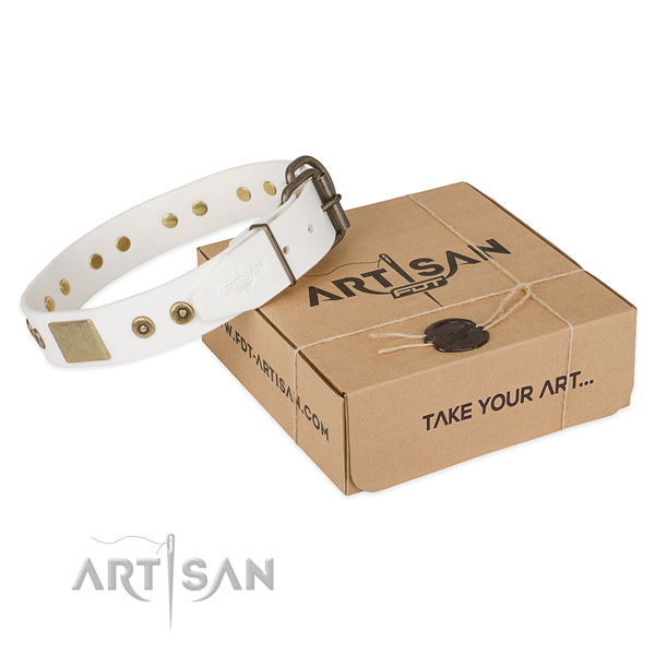 Fine quality genuine leather collar for your beautiful four-legged friend
