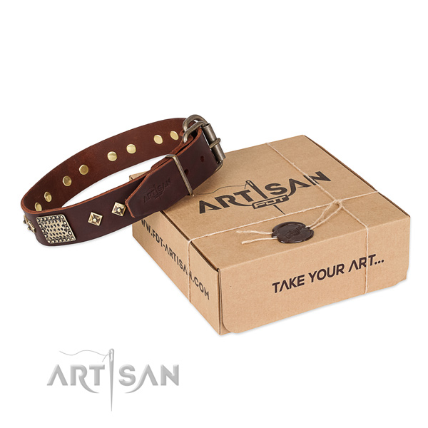 Handcrafted full grain leather collar for your stylish four-legged friend