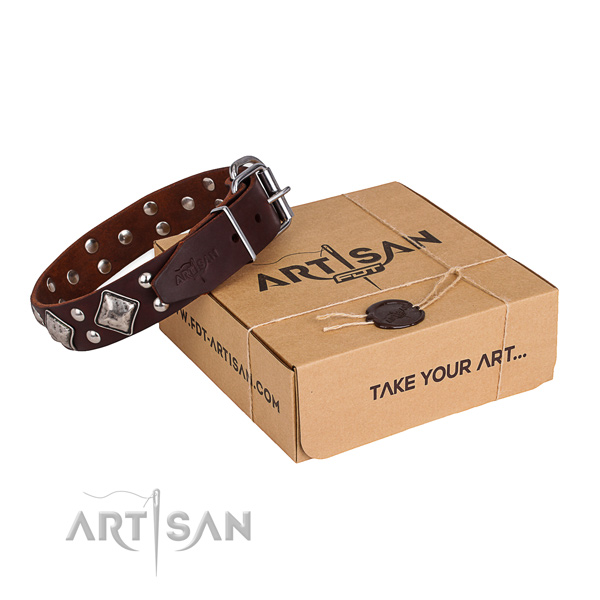 Fancy walking dog collar with Stunning durable embellishments