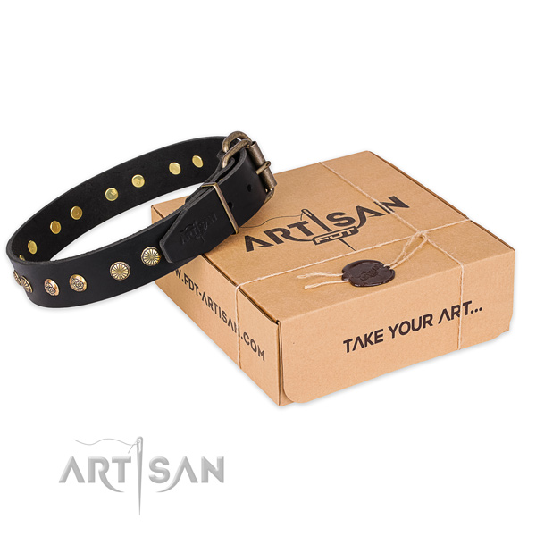 Rust resistant traditional buckle on genuine leather collar for your handsome four-legged friend