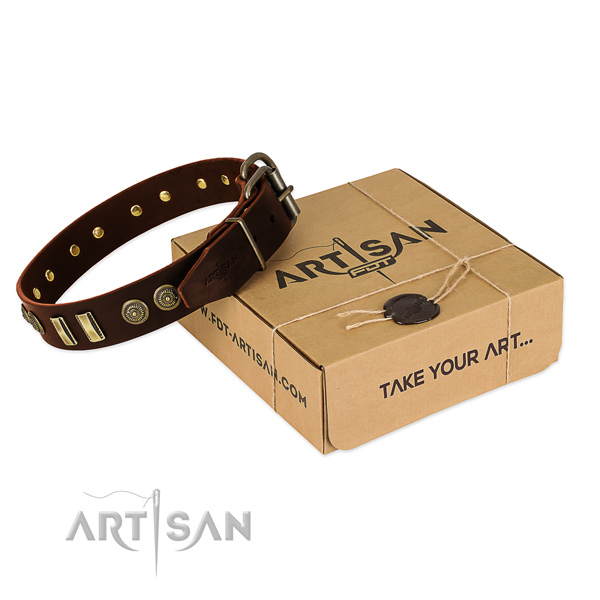 Corrosion resistant embellishments on leather dog collar for your pet