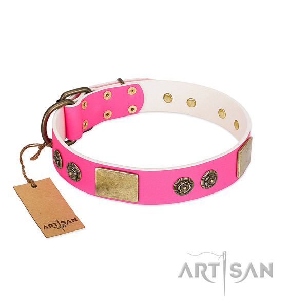 Top quality full grain leather dog collar for everyday walking