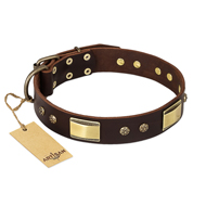 "Rich Fashion" FDT Artisan Decorated Leather Great Dane Collar with Plates and Studs