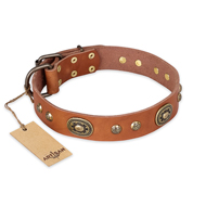 "Stunning Dress" FDT Artisan Tan Leather Great Dane Collar with Old Bronze Look Plates and Studs