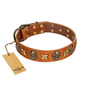 "Rockin' Doggie" FDT Artisan Tan Leather Great Dane Collar Adorned with Stars and Skulls