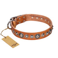 "Daily Chic" FDT Artisan Tan Leather Great Dane Collar with Decorations