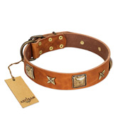 "Celtic Tunes" FDT Artisan Tan Leather Great Dane Collar Adorned with Stars and Squares