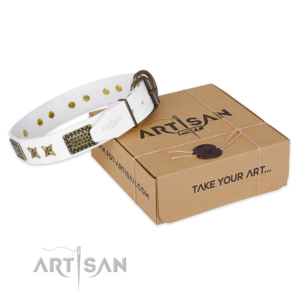 Corrosion proof fittings on natural genuine leather collar for your attractive four-legged friend