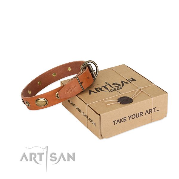 Durable embellishments on leather dog collar for your canine