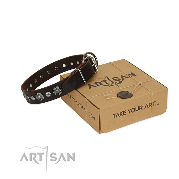 Fine quality leather dog collar with exceptional studs