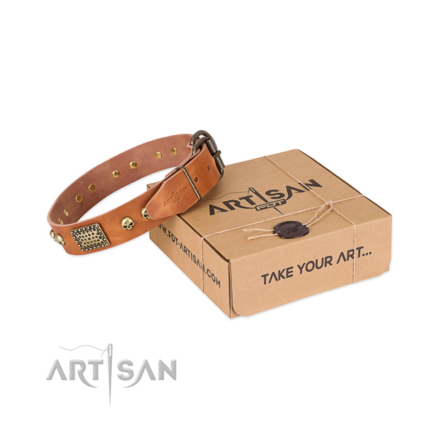 Reliable adornments on dog collar for everyday walking