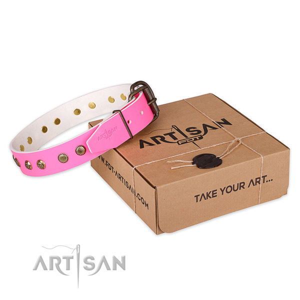 Reliable traditional buckle on natural genuine leather collar for your impressive pet