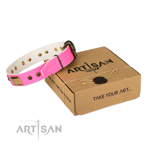 Perfect fit leather collar for your beautiful canine