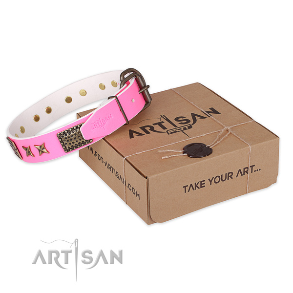 Reliable buckle on leather collar for your stylish canine