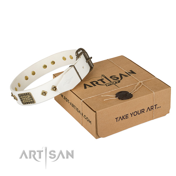 Unique leather collar for your impressive pet
