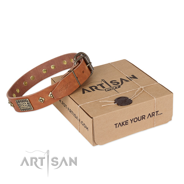 Unusual natural leather collar for your handsome canine