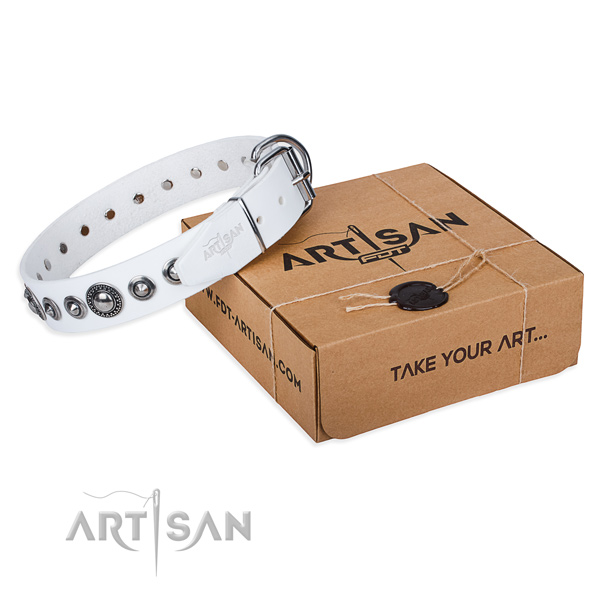 Genuine leather dog collar made of reliable material with rust resistant hardware