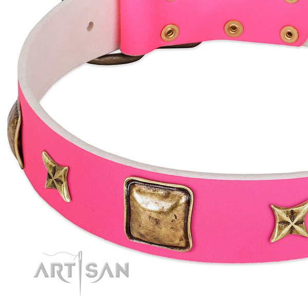 Full grain natural leather dog collar with unusual embellishments