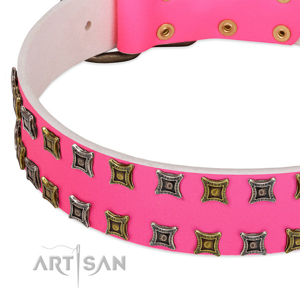 Full grain genuine leather dog collar with exceptional decorations