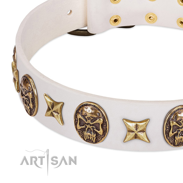 Stylish design dog collar handcrafted for your handsome four-legged friend