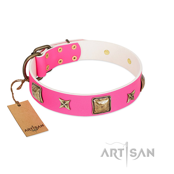 Leather dog collar of top rate material with impressive embellishments