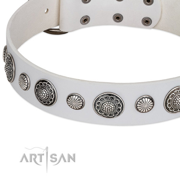 Full grain leather collar with rust-proof buckle for your lovely pet
