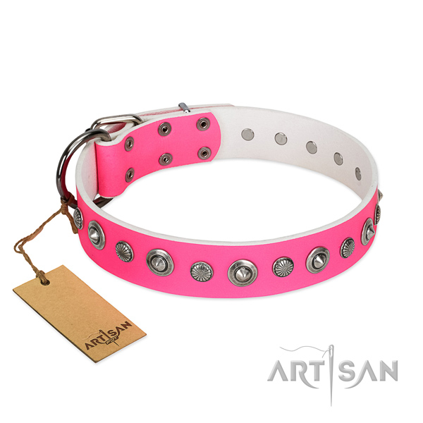Quality genuine leather dog collar with impressive embellishments