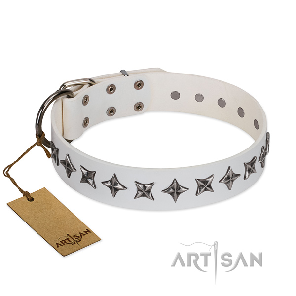 Everyday use dog collar of top quality full grain leather with adornments