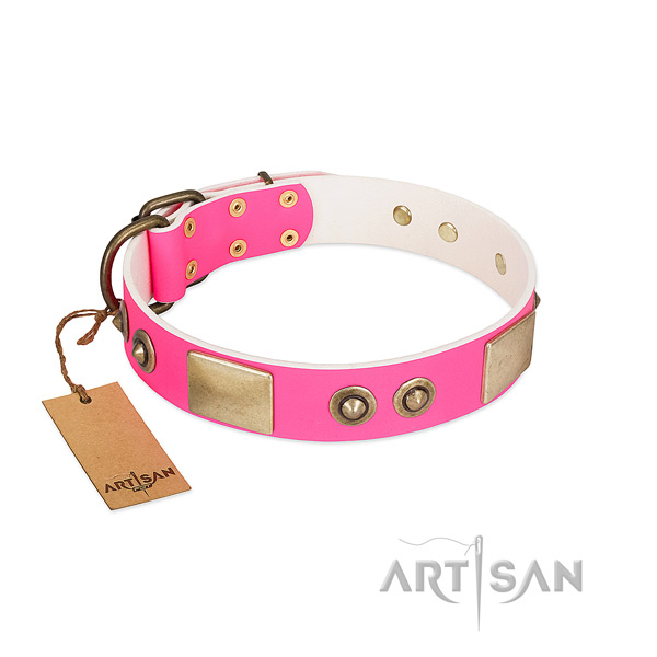 Strong hardware on genuine leather dog collar for your pet