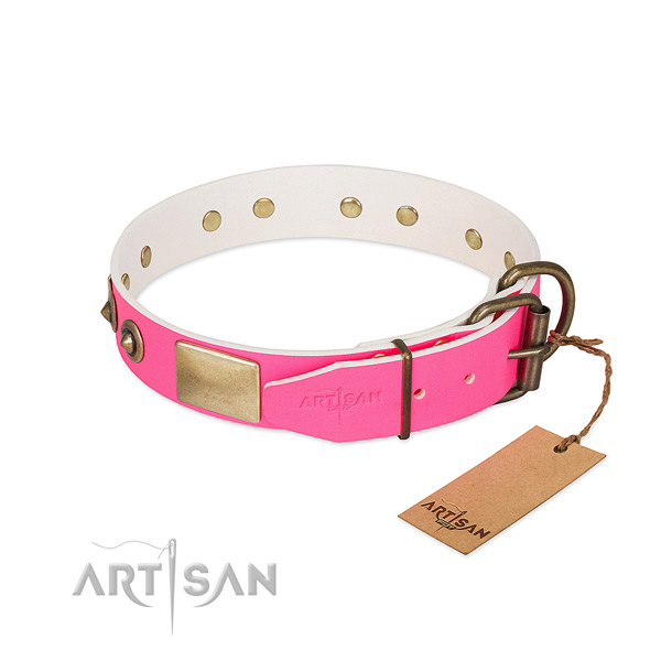Reliable embellishments on leather dog collar for your canine