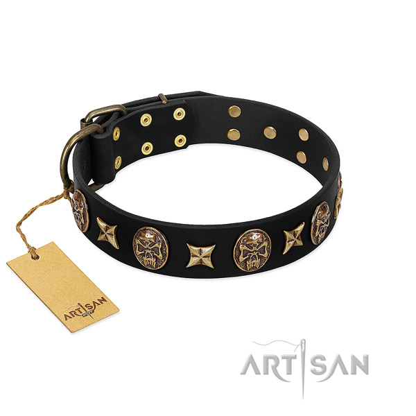 Unusual leather collar for your four-legged friend