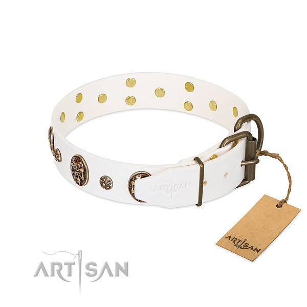 Corrosion proof adornments on full grain natural leather dog collar for your four-legged friend