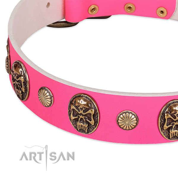 Rust resistant fittings on full grain genuine leather dog collar for your dog