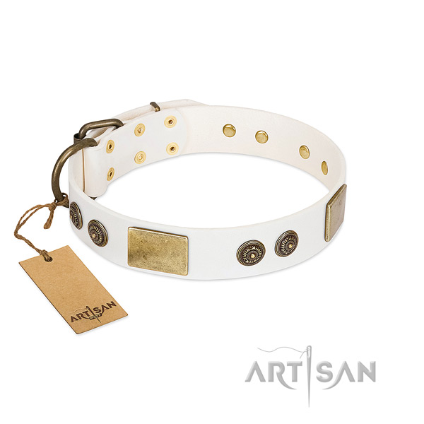 Exceptional genuine leather dog collar for easy wearing