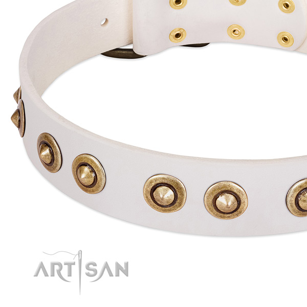 Corrosion resistant studs on leather dog collar for your dog