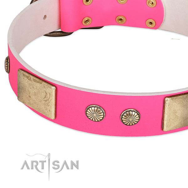 Durable studs on full grain natural leather dog collar for your dog