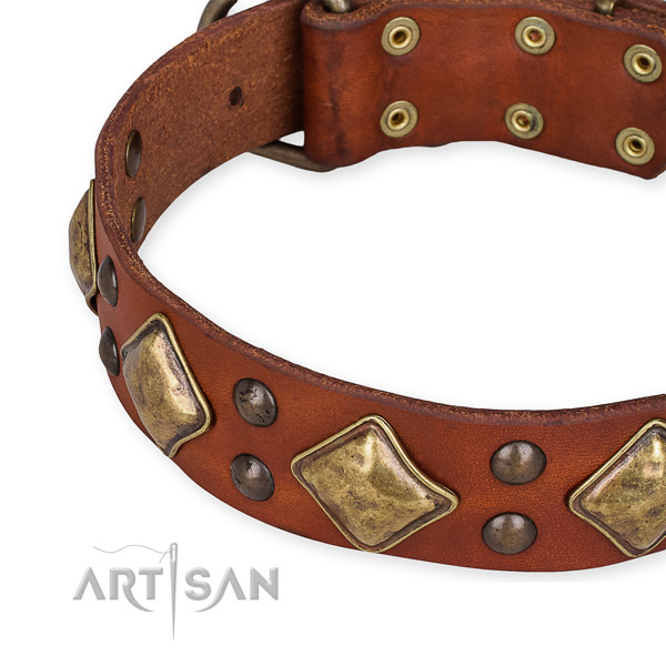 Full grain leather collar with corrosion resistant fittings for your handsome doggie