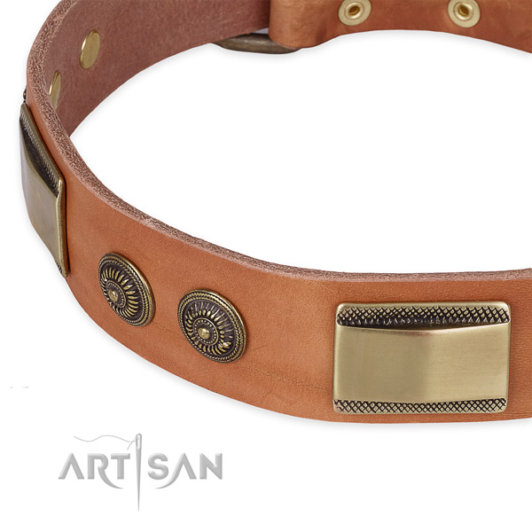 Strong studs on full grain leather dog collar for your four-legged friend