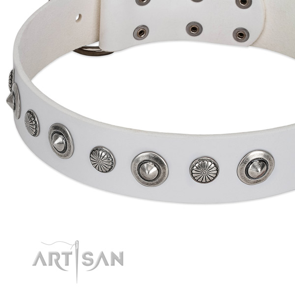 Full grain leather collar with rust resistant D-ring for your attractive four-legged friend