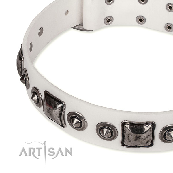 Top rate genuine leather dog collar crafted for your handsome four-legged friend