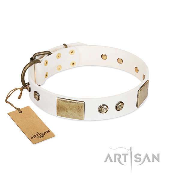 Easy adjustable full grain natural leather dog collar for daily walking your canine