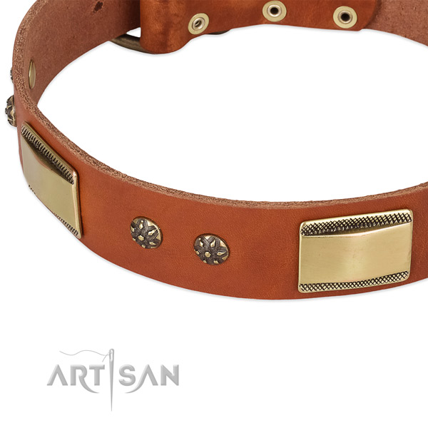 Rust resistant adornments on full grain leather dog collar for your pet