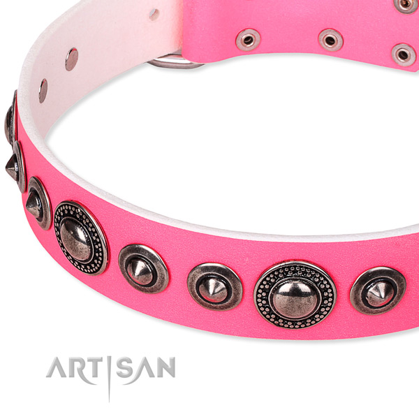 Fancy walking adorned dog collar of fine quality full grain genuine leather