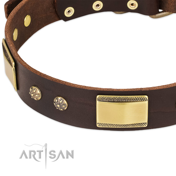 Rust resistant decorations on genuine leather dog collar for your dog
