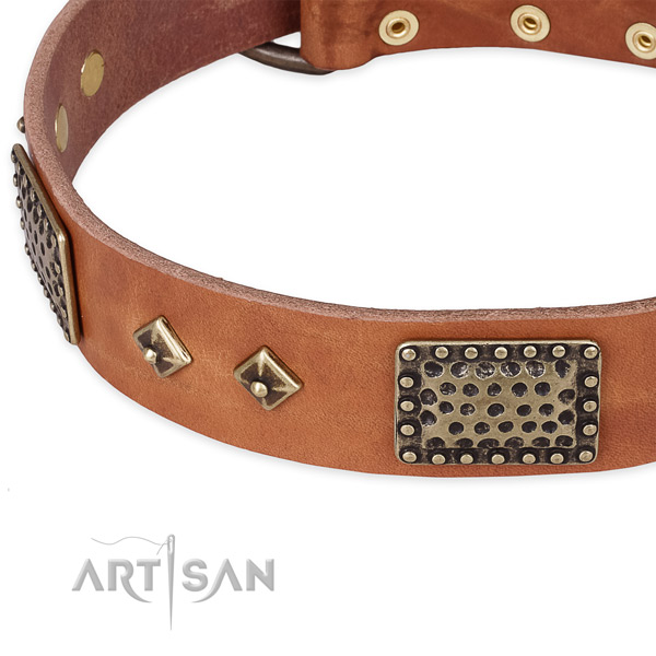 Rust resistant studs on full grain natural leather dog collar for your four-legged friend