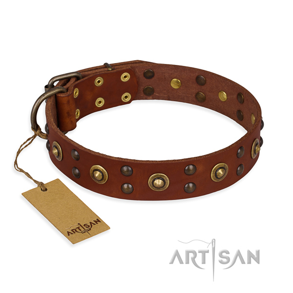 Impressive leather dog collar with strong fittings