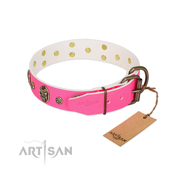 Strong buckle on leather collar for everyday walking your canine