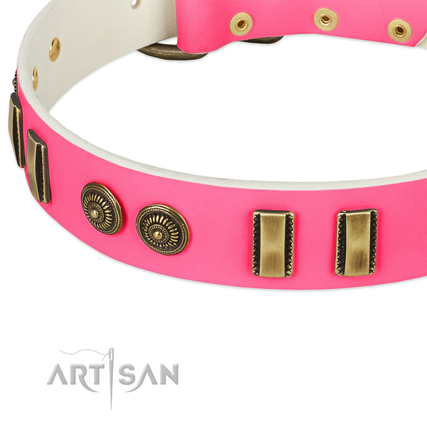 Corrosion resistant decorations on full grain leather dog collar for your pet